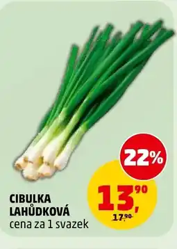 Penny Market Cibulka lahůdková nabídka