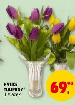 Penny Market Kytice tulipány nabídka