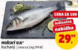 Penny Market Mořský vlk nabídka