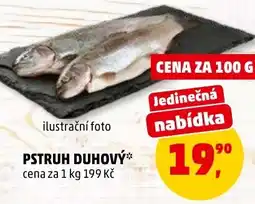 Penny Market Pstruh duhový nabídka