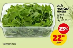 Penny Market Salát polníček/ rukola nabídka