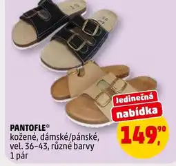 Penny Market Pantofle nabídka