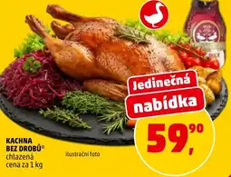 Penny Market Kachna bez drobů nabídka