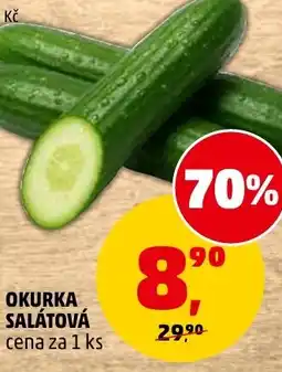 Penny Market Okurka salátová nabídka