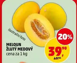 Penny Market Meloun žlutý medový nabídka