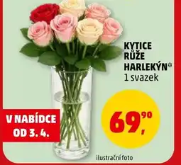 Penny Market Kytice růže harlekýn nabídka