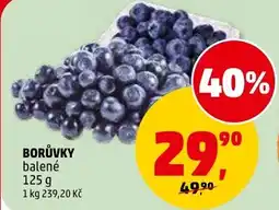 Penny Market Borůvky nabídka