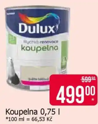 Dulux Koupelna