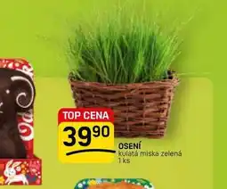 Flop OSENÍ kulatá miska zelená 1 ks nabídka