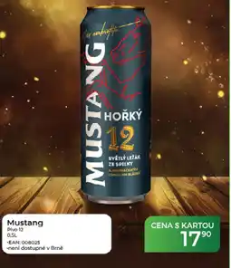 Tamda Foods Mustang Pivo 12 nabídka