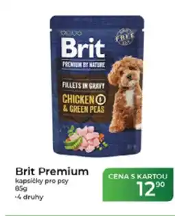 Tamda Foods Brit Premium kapsičky pro psy nabídka