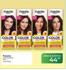 Tamda Foods Palette Color Shampoo nabídka