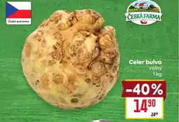 Billa Celer bulva nabídka
