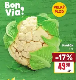 Billa Květák nabídka