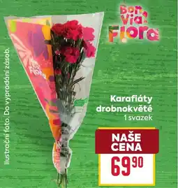 Billa Karafiáty drobnokvěté nabídka