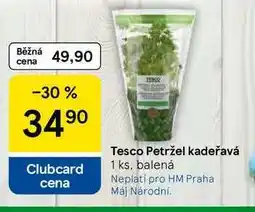 Tesco Tesco Petržel kadeřavá, 1 ks, balená nabídka