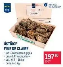 Makro Ústřice Fine de Claire nabídka
