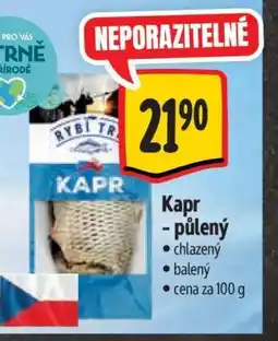 Albert KAPR nabídka