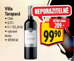 Albert Viña Tarapacá nabídka