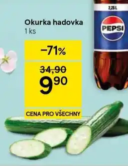 Tesco Okurka hadovka nabídka