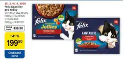 Tesco Felix kapsičky pro kočky nabídka