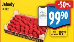 Albert Jahody nabídka