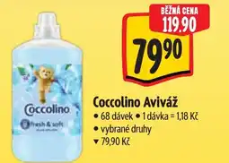 Albert Coccolino Aviváž nabídka