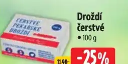 Albert Droždí čerstvé nabídka