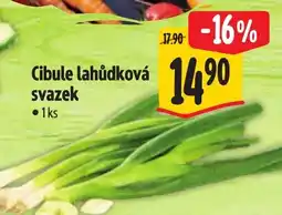 Albert Cibule lahůdková svazek nabídka