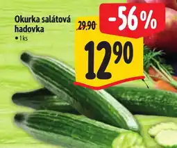Albert Okurka salátová hadovka nabídka
