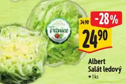 Albert Albert Salát ledový nabídka