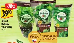 Albert Albert Bylinky v kořenáči nabídka