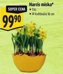 Albert Narcis miska nabídka