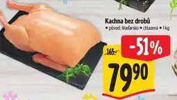 Albert Kachna bez drobů nabídka