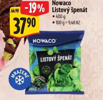 Albert Nowaco Listový špenát nabídka