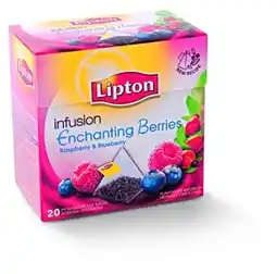 Tamda Foods Lipton čaj ovocný pyramidový 20 sáčků, vybrané druhy 32g nabídka