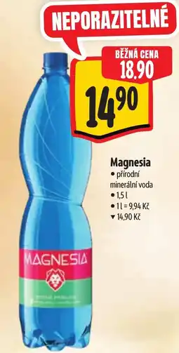 Albert Magnesia nabídka