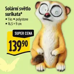Albert Solární světlo surikata nabídka