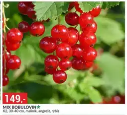 Baumax Mix bobulovin nabídka