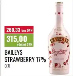 Ratio Baileys strawberry 17% nabídka
