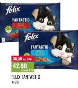 Ratio Felix fantastic nabídka