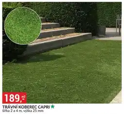 Baumax Trávní koberec capri nabídka