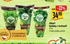 Albert Bylinky v kořenáči nabídka