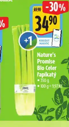 Albert Bio celer řapíkatý nabídka