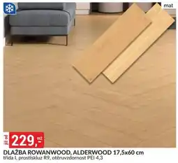 Baumax Dlažba rowanwood, alderwood nabídka