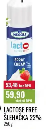 Ratio MEGGLE Lactose free šlehačka 22% nabídka