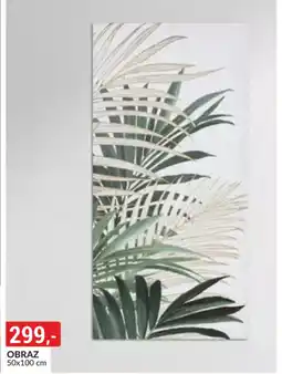 Baumax Obraz nabídka