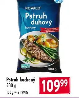 Qanto Pstruh duhový nabídka