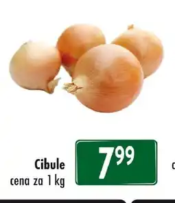 Qanto Cibule nabídka