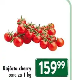 Qanto Rajčata cherry nabídka